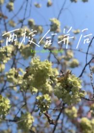 两校合并筹建新大学